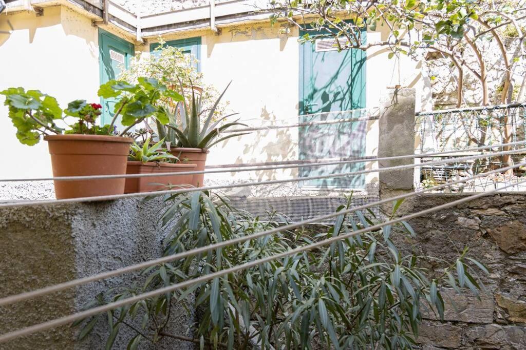 Cinque Maggio Home Di Fronte A Spiaggia E Ospedale Gênes Extérieur photo